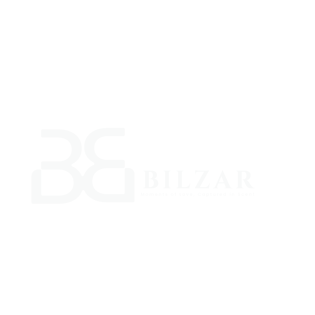bilzar final logo.png white